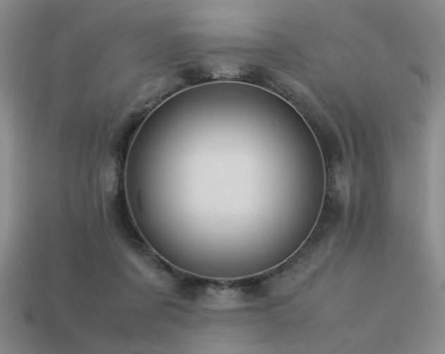 X0000113220311200909101156