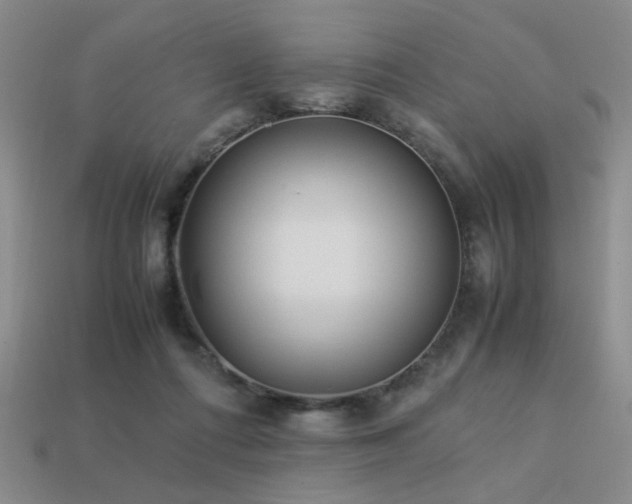 X0000113220312200909101156