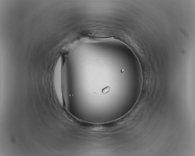 X0000113220313200909101156