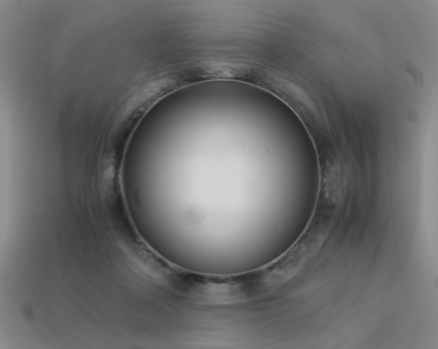 X0000113220314200909101155