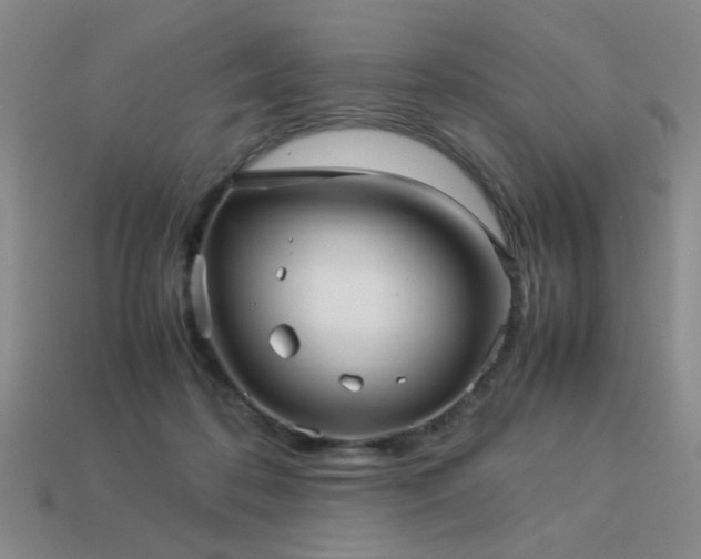 X0000113220316200909101155