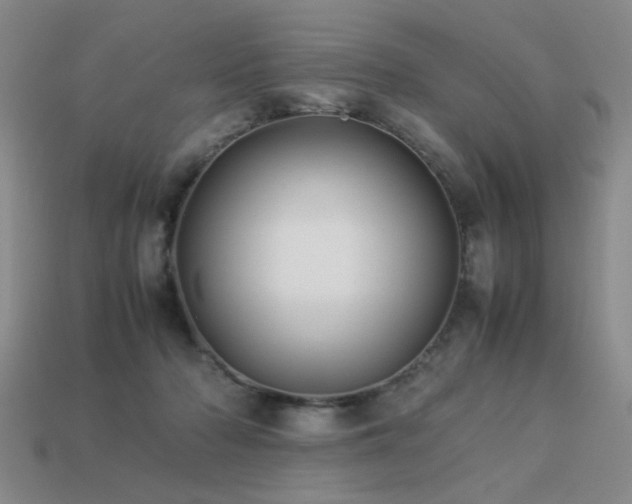 X0000113220318200909101155