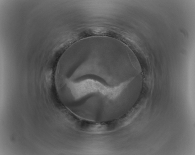 X0000113220319200909101155