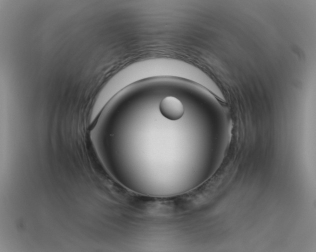 X0000113220320200909101155