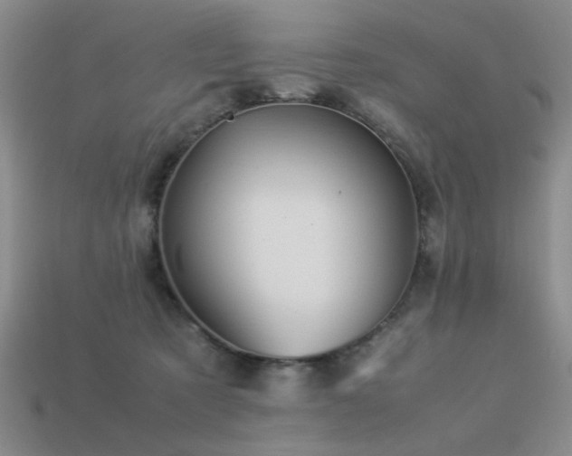 X0000113220321200909101155