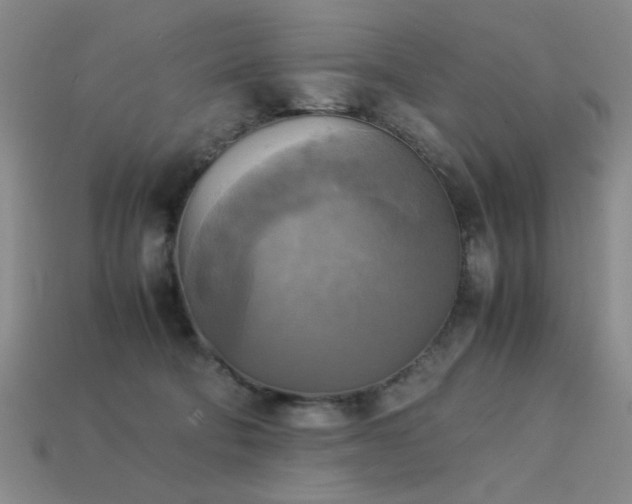 X0000113220322200909101155