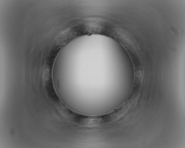 X0000113220323200909101155