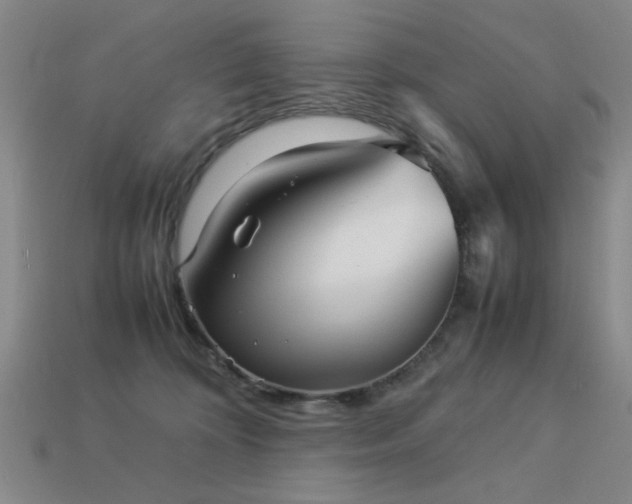 X0000113220324200909101155