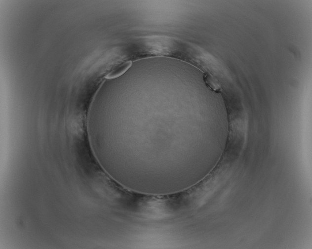 X0000113220325200909101155