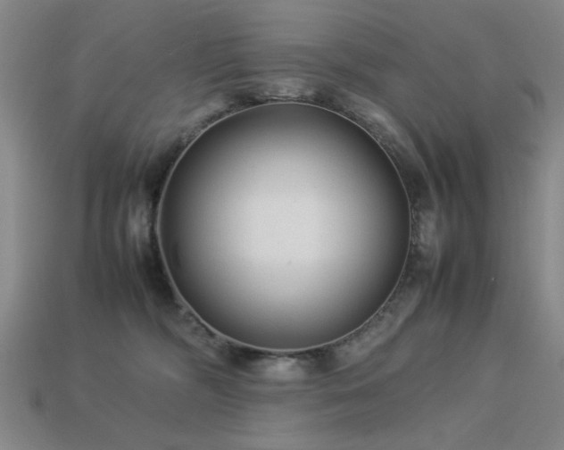 X0000113220326200909101155