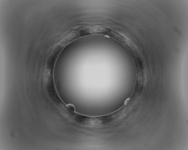 X0000113220327200909101155