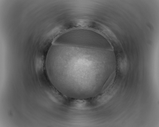 X0000113220328200909101155