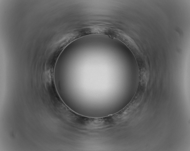 X0000113220329200909101155