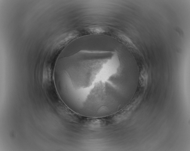 X0000113220330200909101155