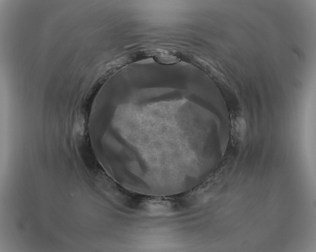 X0000113220331200909101155