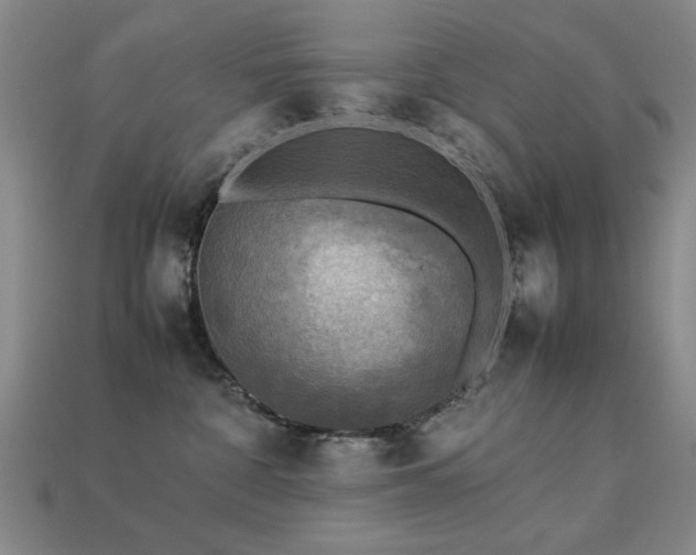 X0000113220332200909101155