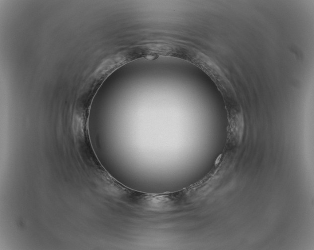 X0000113220333200909101155