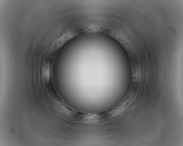 X0000113220334200909101155