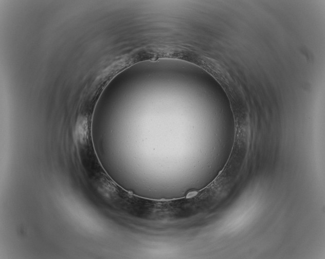 X0000113220335200909101155