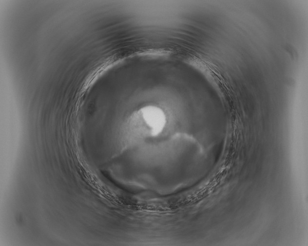 X0000113220337200909101155