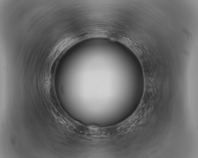 X0000113220338200909101155