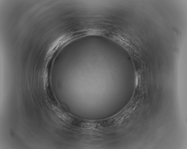 X0000113220339200909101155