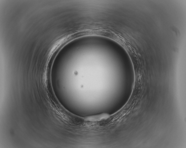 X0000113220340200909101155