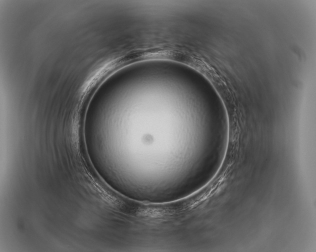 X0000113220341200909101155