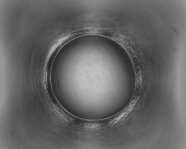 X0000113220342200909101155