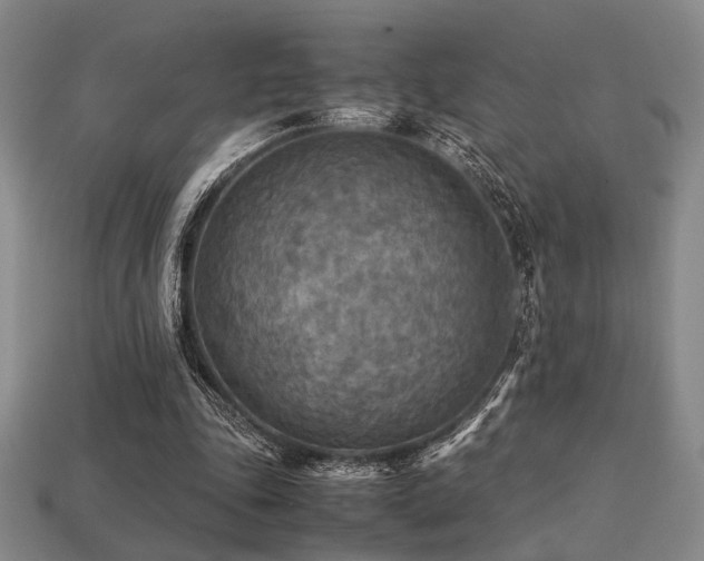 X0000113220343200909101155