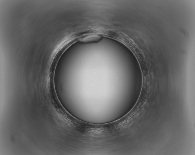 X0000113220344200909101155