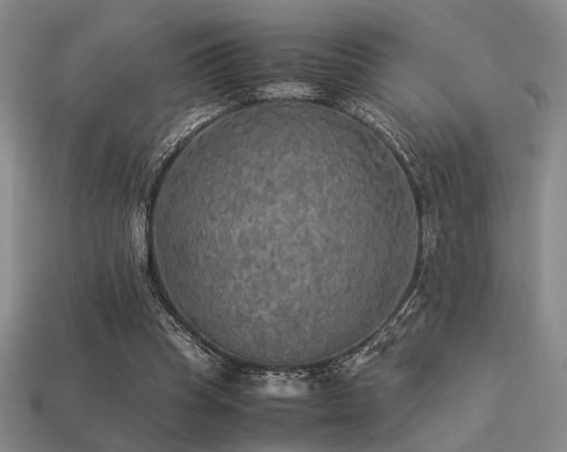 X0000113220345200909101155