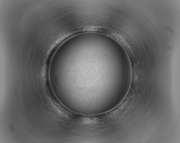 X0000113220346200909101155