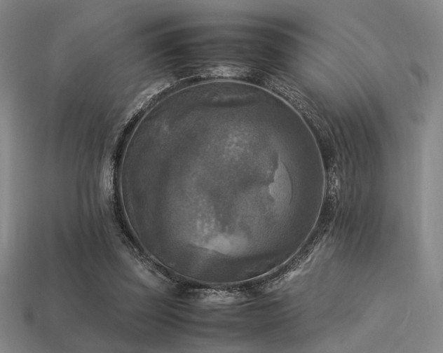 X0000113220347200909101155