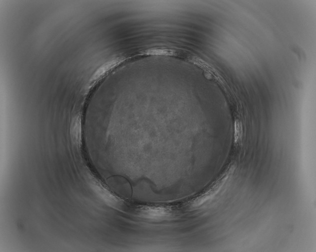 X0000113220349200909101155