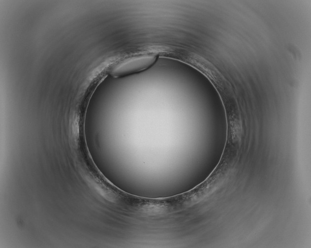 X0000113220350200909101155