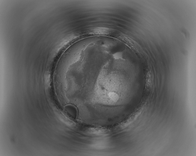 X0000113220351200909101155