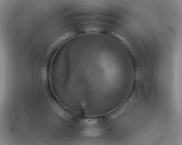 X0000113220353200909101155