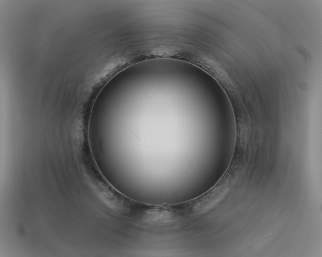 X0000113220354200909101155