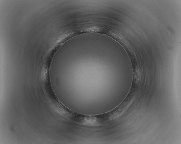 X0000113220355200909101155