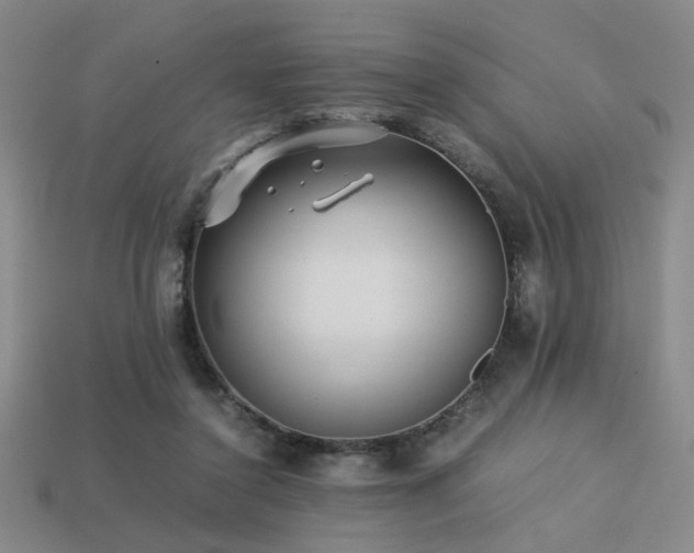 X0000113220356200909101155