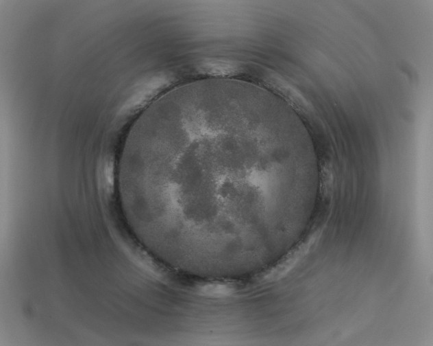 X0000113220358200909101155