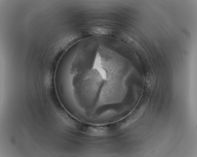 X0000113220359200909101155