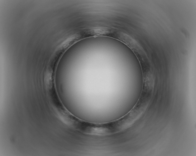 X0000113220360200909101155