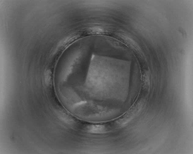 X0000113220361200909101155