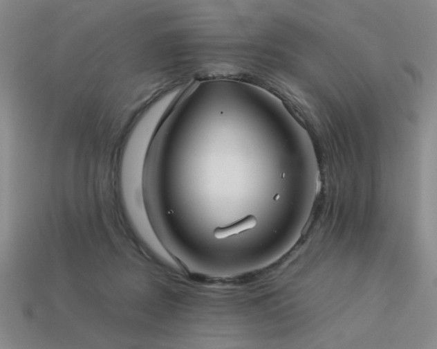 X0000113220362200909101155