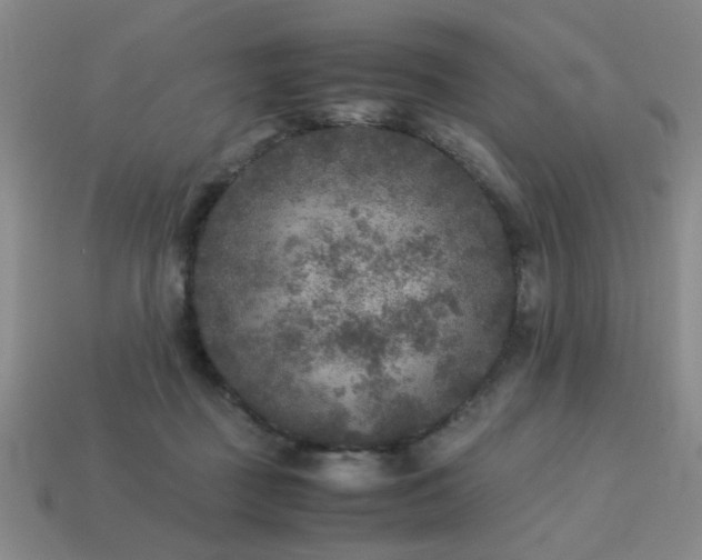 X0000113220363200909101155