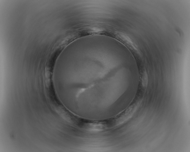 X0000113220366200909101155