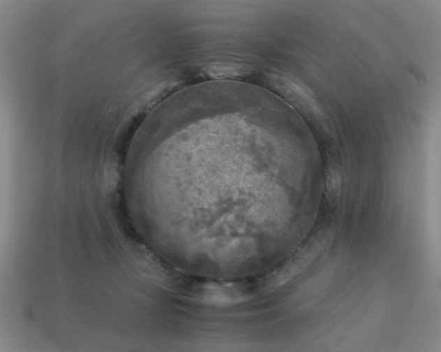 X0000113220367200909101155