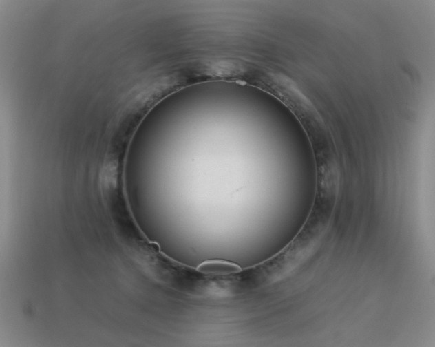 X0000113220368200909101155